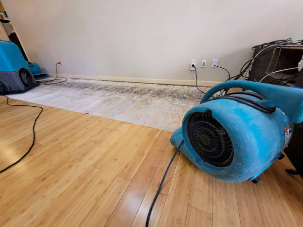 Professional Burst Pipe Water Damage technician working in Suring, WI
